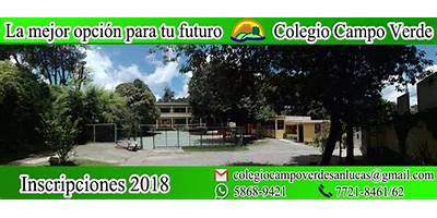 COLEGIO BILINGÜE CAMPO VERDE