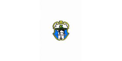COLEGIO DE FORMACIÓN TECNOLÓGICA