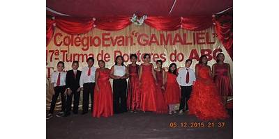 Imagen de la galería