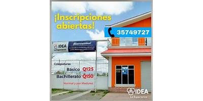 COLEGIO IDEA