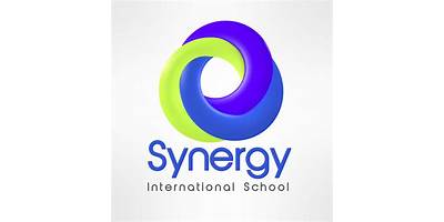 COLEGIO INTERNACIONAL SYNERGY