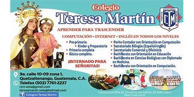 COLEGIO MIXTO TERESA MARTIN