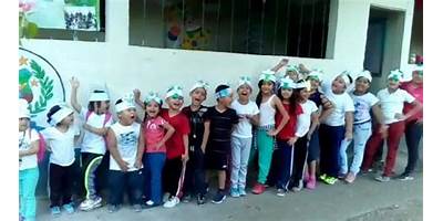 COLEGIO PARTICULAR MIXTO "RAFAEL ALVAREZ OVALLE"