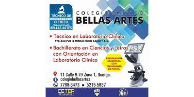COLEGIO PRIVADO "BELLAS ARTES"