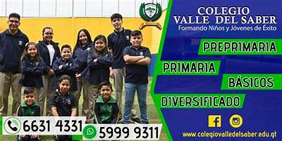 COLEGIO "VALLE DEL SABER"