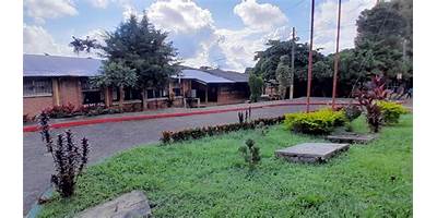 INSTITUTO DIVERSIFICADO POR COOPERATIVA DE ENSEÑANZA