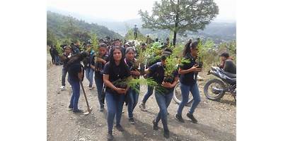 INSTITUTO MAYANCE AGUACATECO