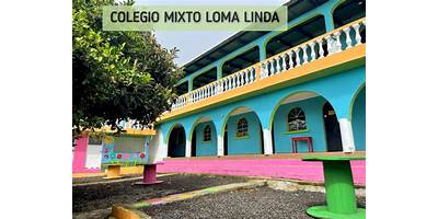 INSTITUTO MIXTO LOMA LINDA