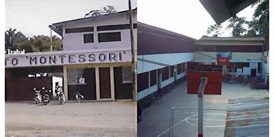 INSTITUTO PARTICULAR MIXTO "DESARROLLO Y CIENCIA"