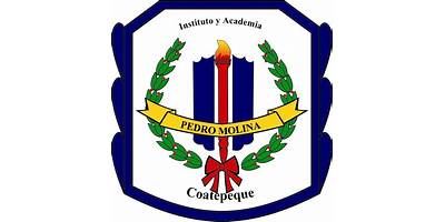 INSTITUTO PARTICULAR MIXTO "PEDRO MOLINA"