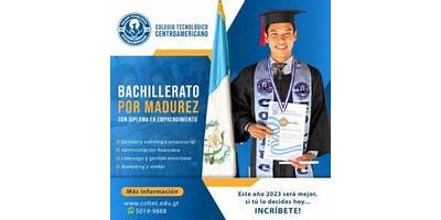 INSTITUTO PRIVADO BASICO Y BACHILLERATO POR MADUREZ DESARROLLO INTEGRADOR