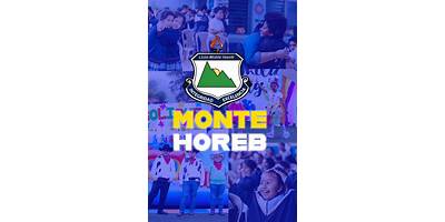 LICEO MIXTO MONTE HOREB