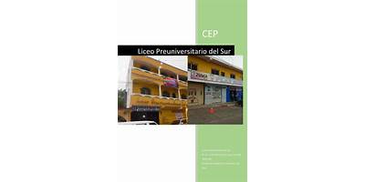 LICEO PREUNIVERSITARIO DEL SUR.