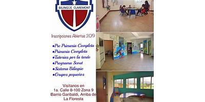 COLEGIO BILINGUE MONTE CLARO