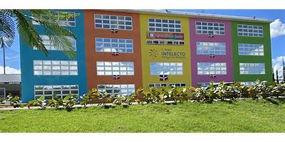 COLEGIO CENTRO DE APRENDIZAJE INTELECTO (INTELLEGO)