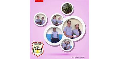COLEGIO CRISTIANO CRISTO VIENE YA