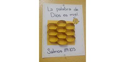 COLEGIO CRISTIANO "PALABRA MIEL"