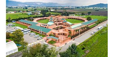 COLEGIO GRANDES TALENTOS