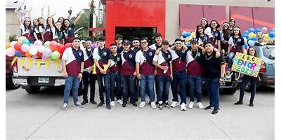 COLEGIO LICEO DEL SUR BILINGUE LISBI
