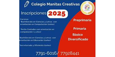 COLEGIO MANITAS CREATIVAS