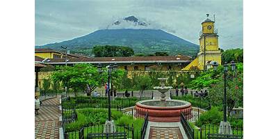 COLEGIO MIS OSITOS