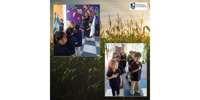 COLEGIO MIXTO LA COLINA ENCANTADA