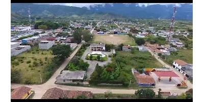 COLEGIO MONTESSORI VIDA