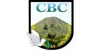 COLEGIO PARTICULAR MIXTO "BRISAS DEL CHINGO"