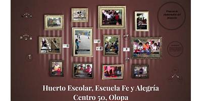 ESCUELA FE Y ALEGRIA NO. 50