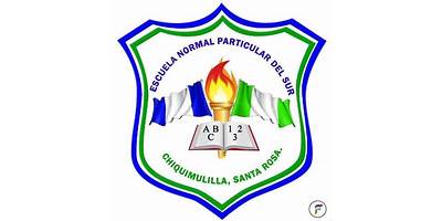'ESCUELA NORMAL PARTICULAR DEL SUR'