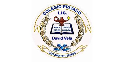 ESCUELA PARTICULAR MIXTA "LICENCIADO DAVID VELA"