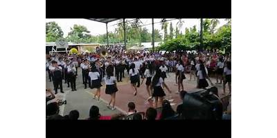 INEB