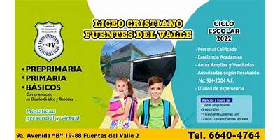 LICEO CRISTIANO FUENTES DEL VALLE