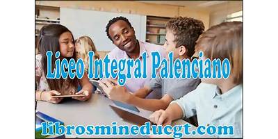 LICEO INTEGRAL PALENCIANO