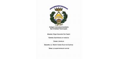 LICEO PREUNIVERSITARIO SAN CRISTÓBAL