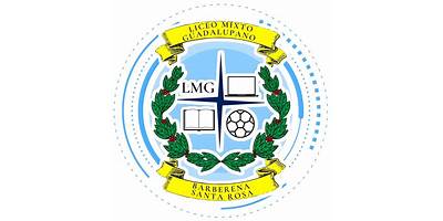 COLEGIO 'LICEO MIXTO GUADALUPANO'