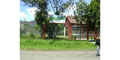 COLEGIO LOS PASTORCITOS