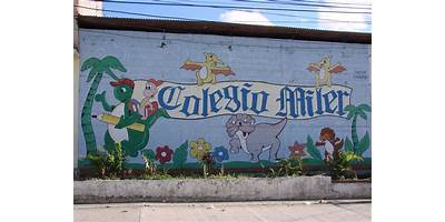 COLEGIO MILER