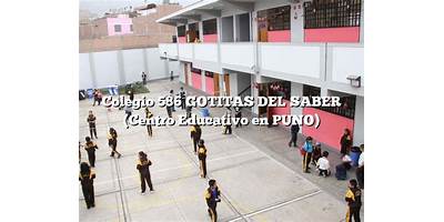 COLEGIO MIXTO 'GOTITAS DEL SABER'