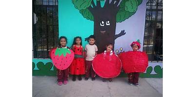 COLEGIO MIXTO JUVENTUD EN ACCION