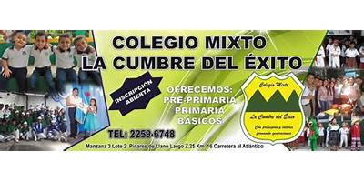 COLEGIO MIXTO 'LA CUMBRE DEL EXITO'