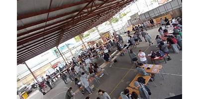 COLEGIO  NUEVA ESPERANZA