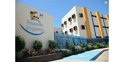 COLEGIO "PEQUEÑOS GIGANTES"