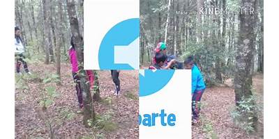 EODP ANEXA EORM
