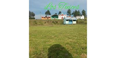 EODP ANEXA EORM