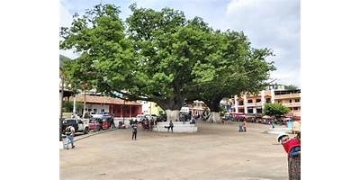 EODP CASERÍO CHUCANAC