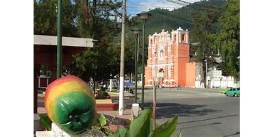 EODP LOS LLANOS