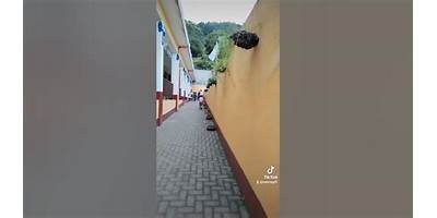EODP