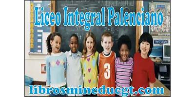 LICEO INTEGRAL PALENCIANO