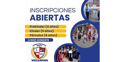 LICEO PRIVADO MIXTO "WELLMANN"